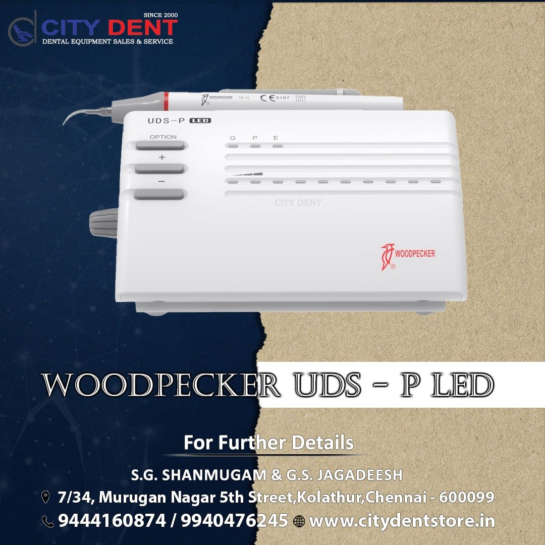 UDS - P Led Scaler